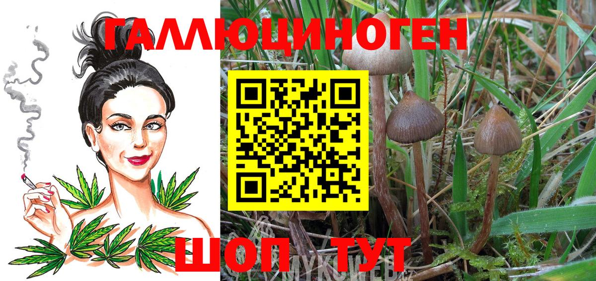 Галлюциногенные грибы MAGIC MUSHROOMS  Вход с VPN  дарнет шоп  Сосновый Бор 